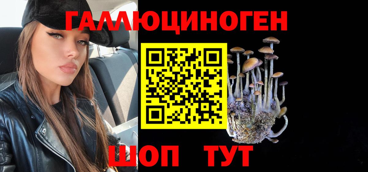 Псилоцибиновые грибы GOLDEN TEACHER Алушта