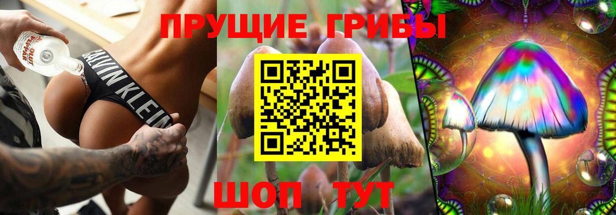 Галлюциногенные грибы прущие грибы  Вход с VPN  Алушта 
